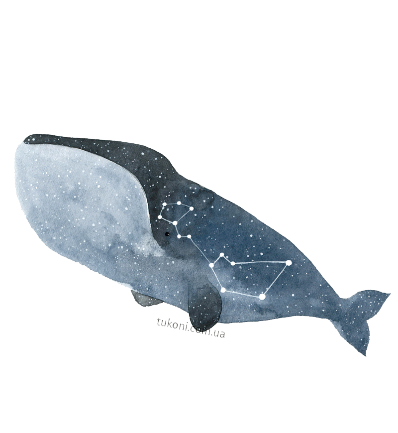 Whale